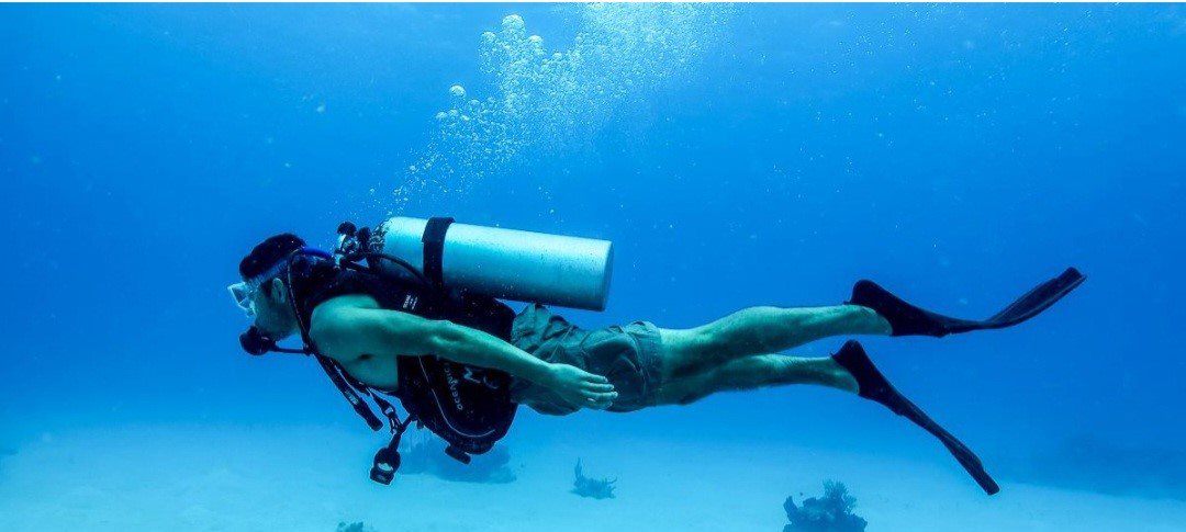 diver in the water