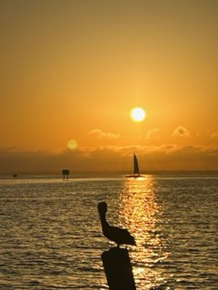 sailboat in the sunset